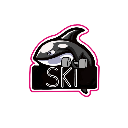 STORCA // SKI